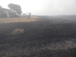 Négyszáz hektáron égett a tarló Nádudvar határában 