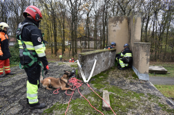 Gyakorlat a romok között