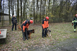 Gyakorlat a romok között