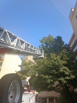 Lehasadt faágak miatt riasztották a debreceni hivatásos tűzoltókat szerda délután Debrecenbe, a Jászai Mari utcába. 