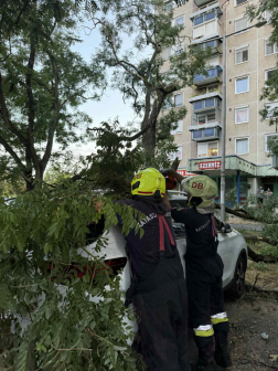 A tűzoltók a fát darabolják