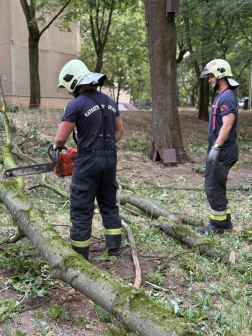 A tűzoltók a fát darabolják