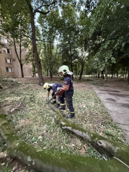 A tűzoltók a fát darabolják