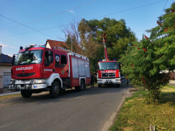 favágás