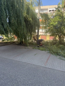 A tűzoltó a lehasadt ágat vágja