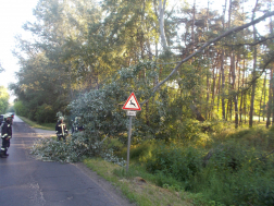 Lehasadt egy faág Debrecen és Hosszúpályi között