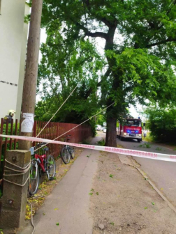 Villanyvezetékre szakadt egy faág Debrecenben a Komlóssy utcában 