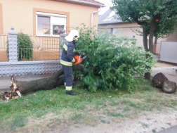 Kidőlt fát vágnak a hajdúböszörményi tűzoltók